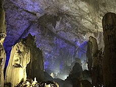 Zhijin Cave is believed to possess the largest unsupported roof span of any cave worldwide.