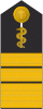 Admiralober­stabsarzt (Human medicine)