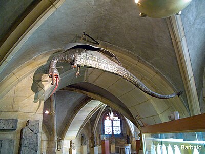 The Graouilly, a dragon figure carried in processions, now in the cathedral crypt
