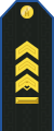 Mongolian Air force-MSG-service