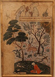 Nature Study (Early Mughal)