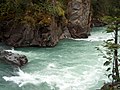 Image 1Rapids in Mount Robson Provincial Park (from River ecosystem)