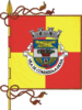 Flag of Condeixa-a-Nova