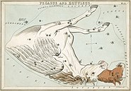 Plate 15: Pegasus and Equuleus