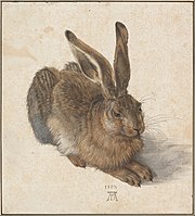 Albrecht Dürers „Junger Hase“
