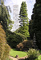 Blick aus dem jap. Garten zum Bayer-Hochhaus, Leverkusen
