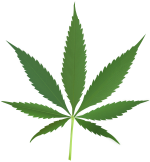 A green cannabis leaf