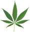 WikiProject Cannabis