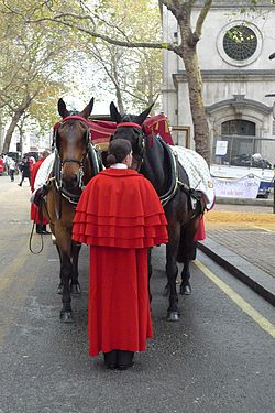 A woman standing in front of a horsedrawn coach, with her back to the viewer, in a bright-red narrow garment, with four layers of cape and a flat collar.