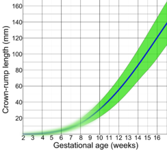 Crown-rump length by gestational age