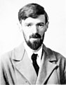 D. H. Lawrence (1885-1930)