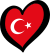 ESC-Logo der Türkei