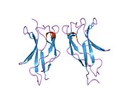 1my5: NF-kappaB p65 subunit dimerization domain homodimer