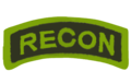 Reconnaissance (RECON) Tab