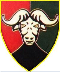 SANDF Buffalo Volunteers Rifles emblem