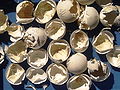 Egg shells with skins
