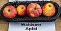 Waldseer Apfel