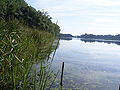 Der Cösitzer Teich, Blick Richtung Radegast