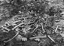 Photograph of a pile of bones at the Armenian massacre at Erzingan