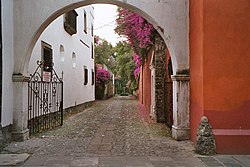 Typische Privatstraße in San Ángel