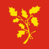 Flag of Stord
