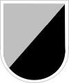 35th Infantry Division, 167th Cavalry Regiment, 1st Squadron, Long-Range Surveillance Detachment