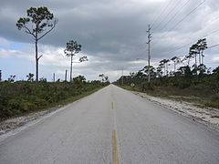 Grand Bahama Highway