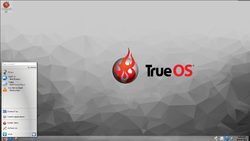 Bildschirmfoto von TrueOS 11.0
