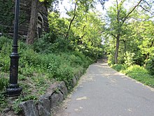 A paved pathway in the park lined by shrubs and trees