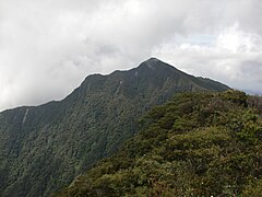 Mount Korbu with surrounding vegetation