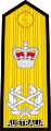 RAN admiral of the fleet shoulder board