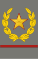 Sleeve insignia of the rank of Marshal of Yugoslavia from the National Liberation War, used 1943–1946.
