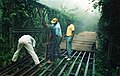 Bolifa Bailey Bridge in the Equatorial rainforest near Basankusu, Democratic Republic of Congo