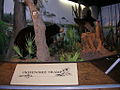 Okefenokee Swamp diorama exhibit