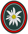 Verbandsabzeichen Gebirgsjägerbrigade 23 (Bad Reichenhall)
