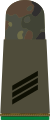 Hauptgefreier FA (Army lance corporal/Private first class sergeant aspirant, field uniform mounting strap)