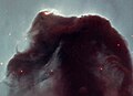 Image 11Cosmic dust of the Horsehead Nebula as revealed by the Hubble Space Telescope. (from Cosmic dust)