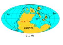 Map of continents in the late Carboniferous showing Laurussia and Gondwana combined to form Pangea. Siberia lays to the north, Amuria to its northeast. North and South China and Annamia form the northeastern margin of the Paleo-Tethys.