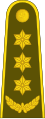 Pulkininkas'[12] (Lithuanian Land Forces)