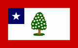 Flag of Mississippi (March 30, 1861 – August 22, 1865)