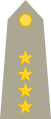 General de brigada (Honduran Army)[28]