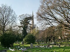 a number of grave stones in the grass, in the background trees with bare limbs and behind them a church with a tall thin spire