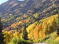 Fall Foliage in the canyon (September 2005)