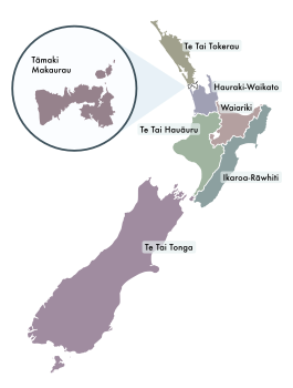 Map of the seven Māori electorates