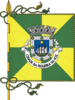 Flag of Figueira da Foz