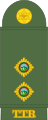 Lieutenant (Trinidad and Tobago Regiment)[81]