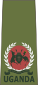 Major (Ugandan Land Forces)[90]