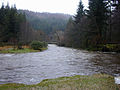 River Ystwyth in spate at the Hafod Estate