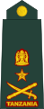 Brigedia jenerali (Tanzanian Army)