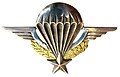 French military parachutist badge